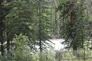 25 - Athabasca Falls - IMG_1083